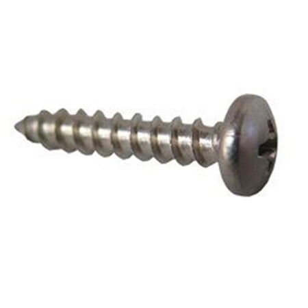 Sundance 10-12 x 2 in. PML Stainless Steel Pump Housing Screw 6500-548